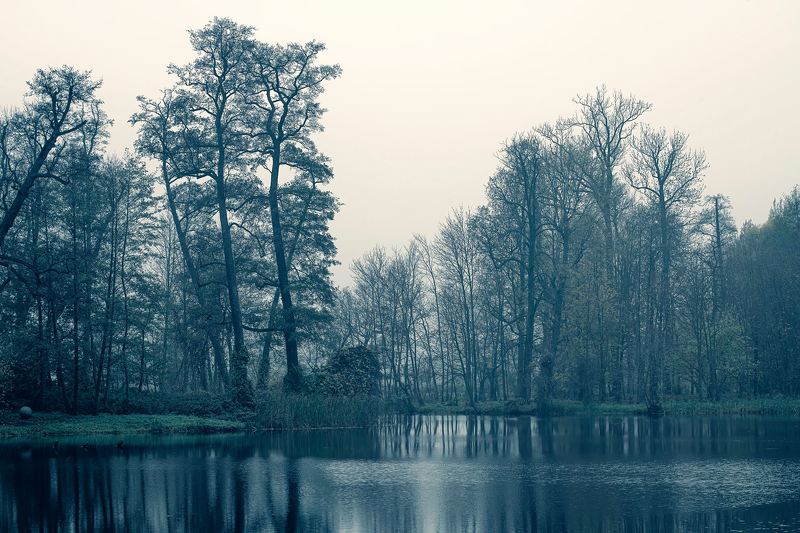озеро, ландшафт, рассвет, парк Утро в старинном парке фото превью