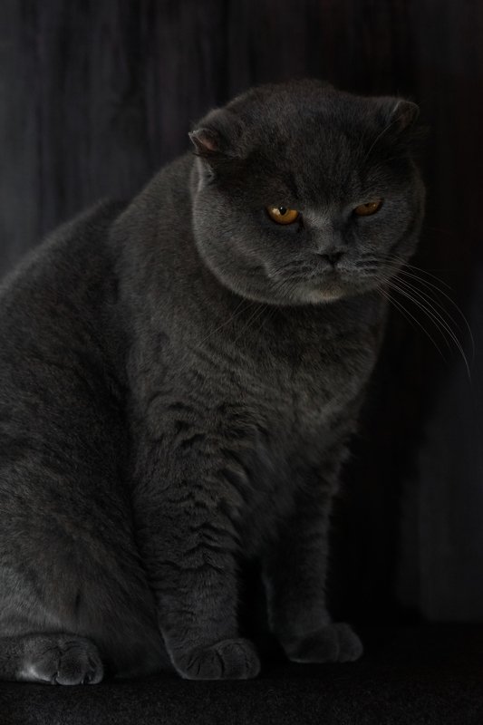 Макс :)photo preview