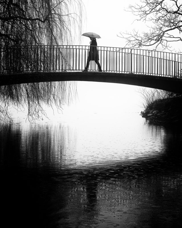 people, bridge, umbrella, rain, water, alster, lake, hamburg, germany it\'s a rainy dayphoto preview