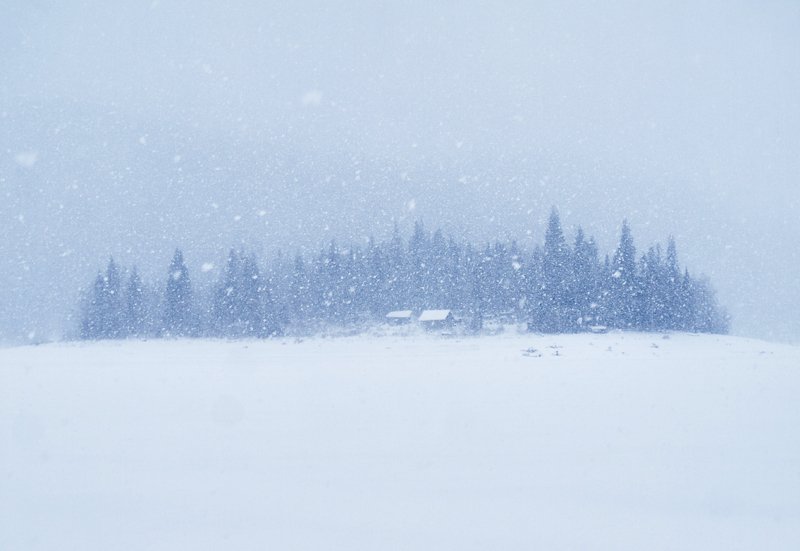 зима, снег Снегопадphoto preview