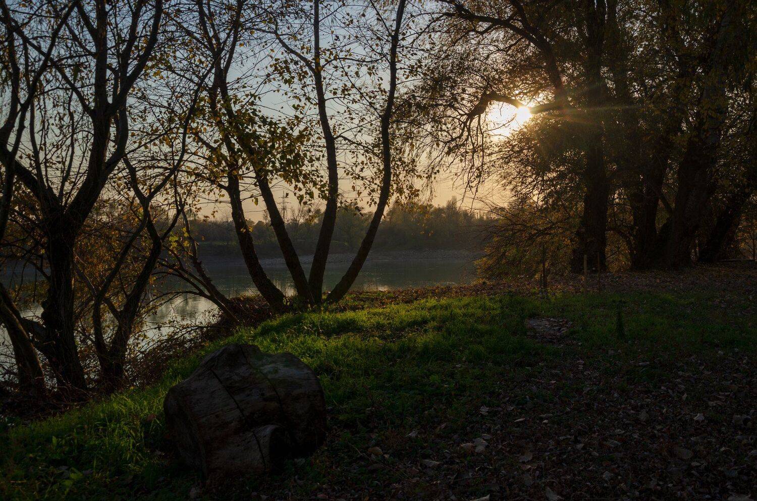 Осень в декабре. Автор: Алексей Рыльский кубань, Алексей Рыльский