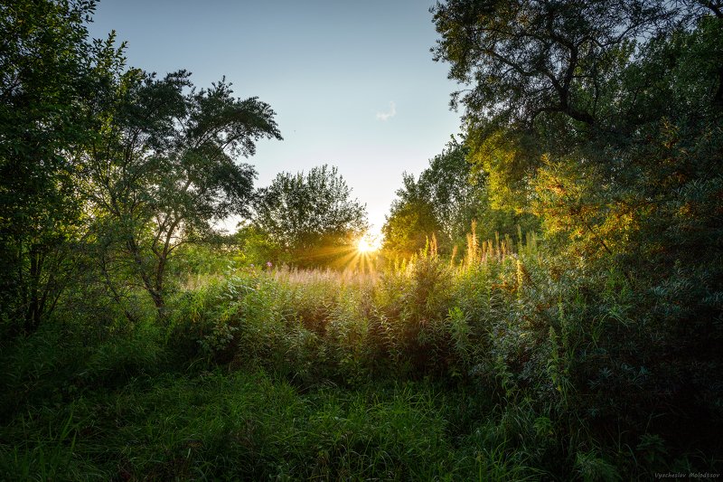 Сказка в Александровском парке.photo preview