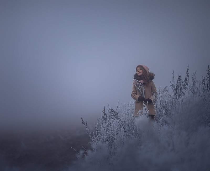 В туманеphoto preview