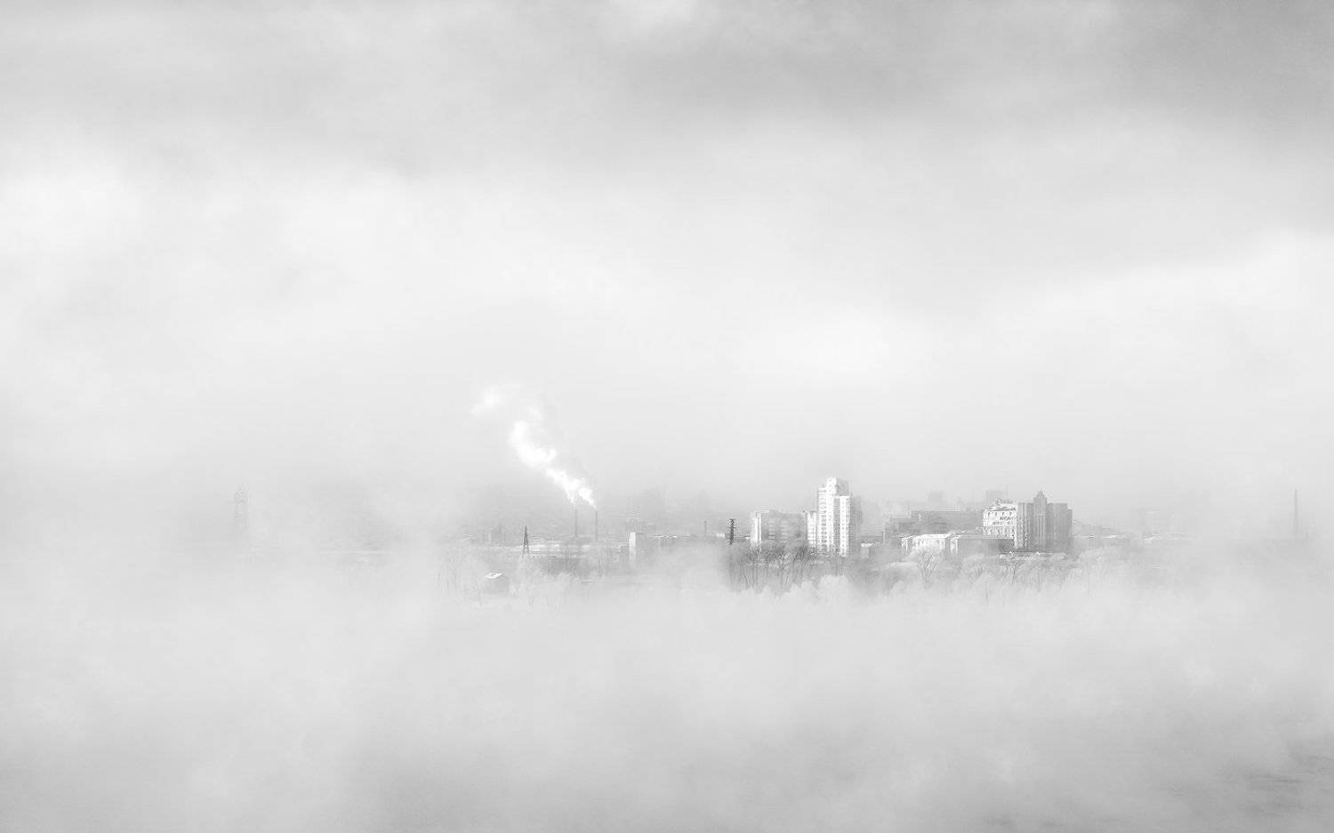 Город в облаках. Автор: Дмитрий Антипов пейзаж, природа, чб, черно-белое, белый, светлый, зима, мороз, холод, лед, река, туман, иней, снег, город, красноярск, татышев, енисей, сибирь, пар, Дмитрий Антипов