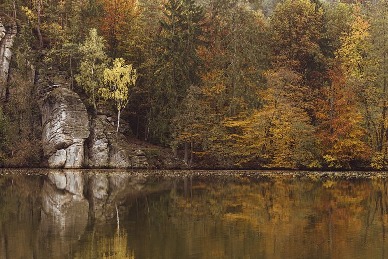 Состояние покоя фото превью