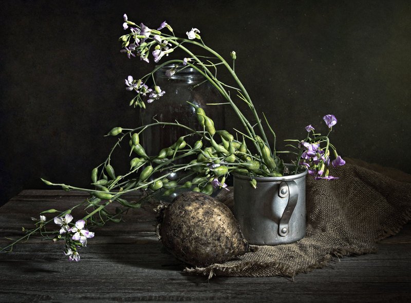 Редька зацвелаphoto preview