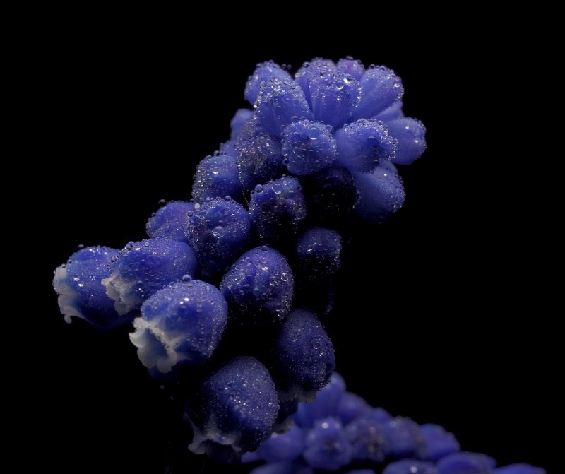 Утроphoto preview