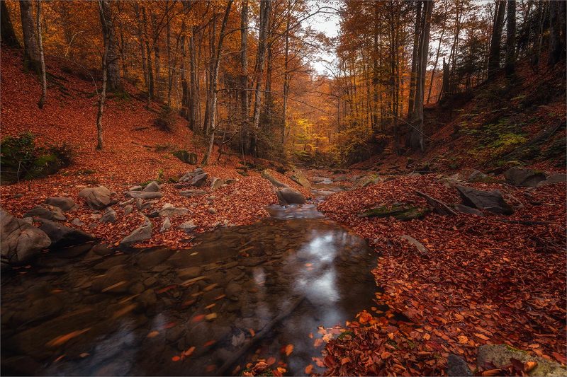 р.Туричкаphoto preview