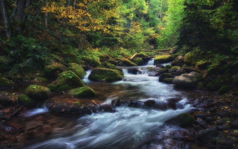 Шантацара...photo preview