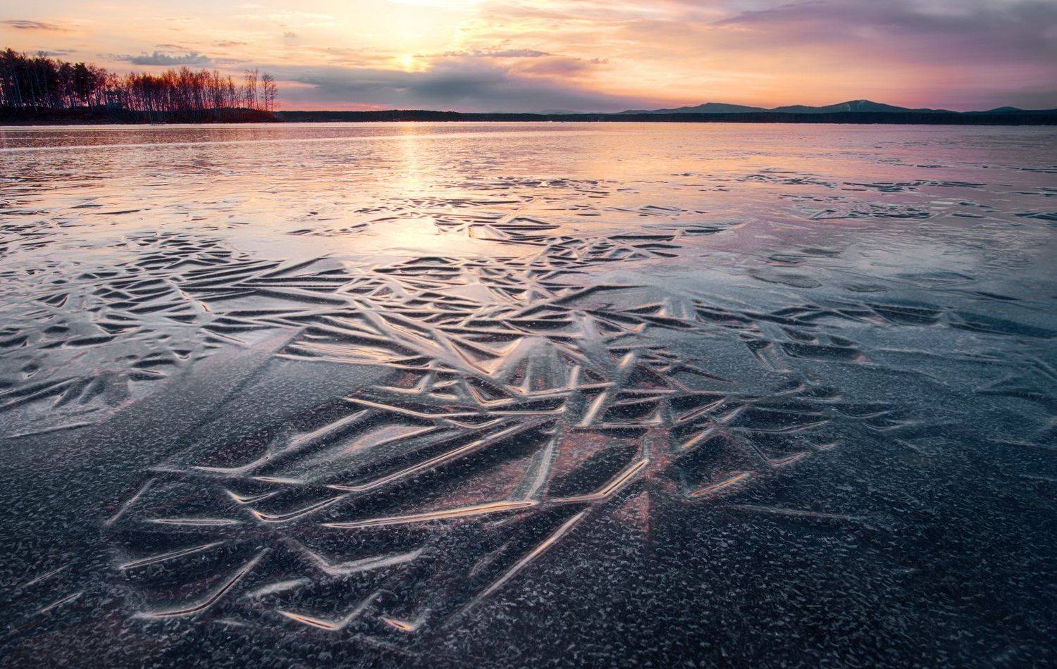 , Дмитрий Жучков