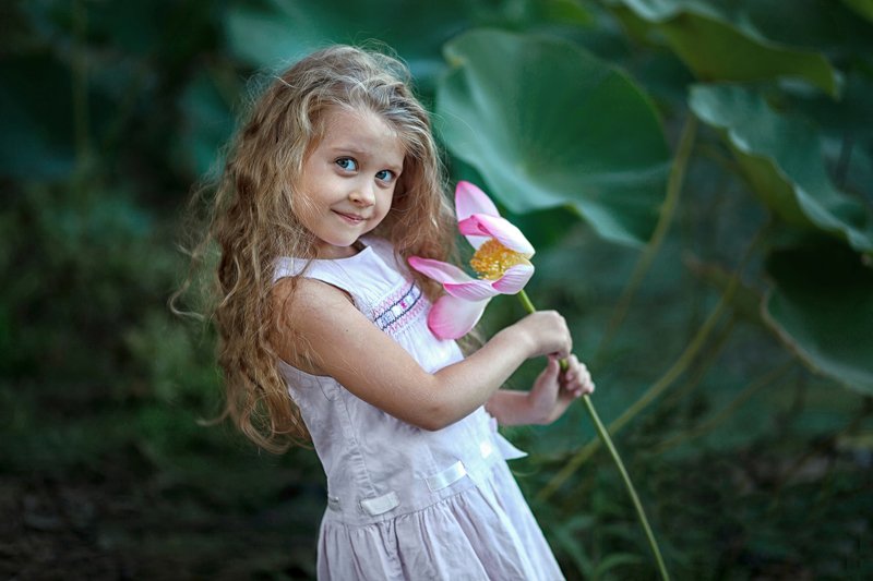 Лотосphoto preview