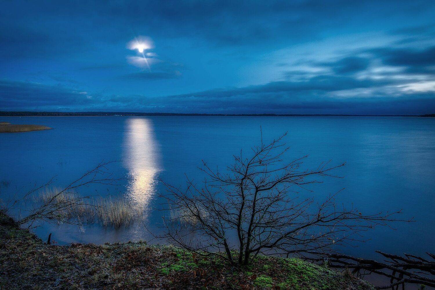 , Федотов Антон