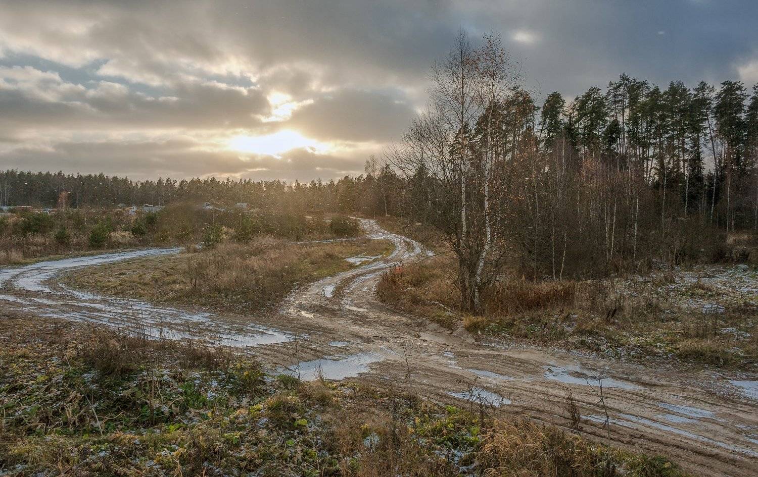 Ноябрь. Автор: Валерий , Валерий