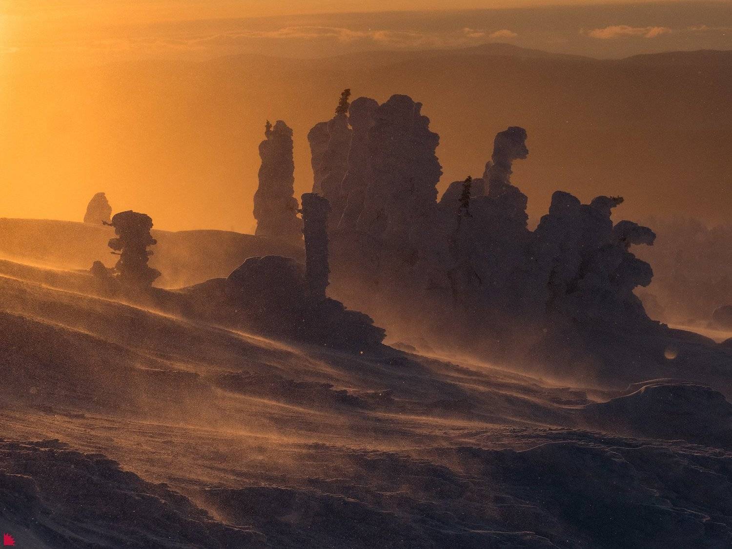 , Осипов Ёжъ Александр