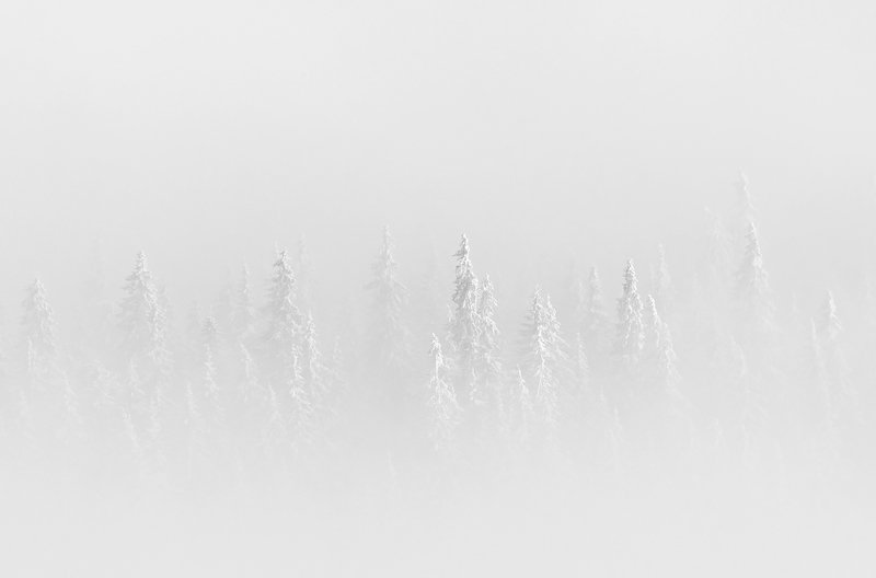 winter, trees, blizzard, snow, landscape, travel, nature, mountain, romania, cold Symbiossisphoto preview