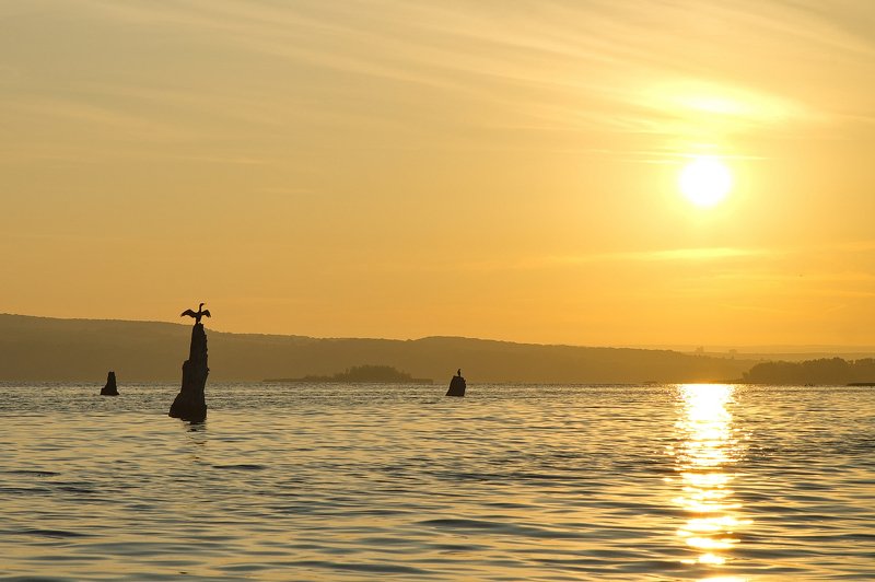 утро, рассвет, восход, волга Рассветные силуэтыphoto preview