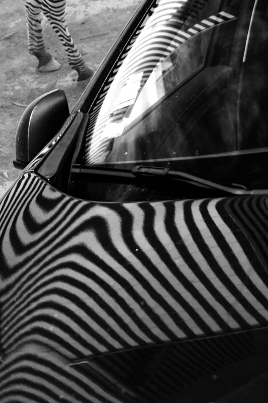 Полосатостьphoto preview