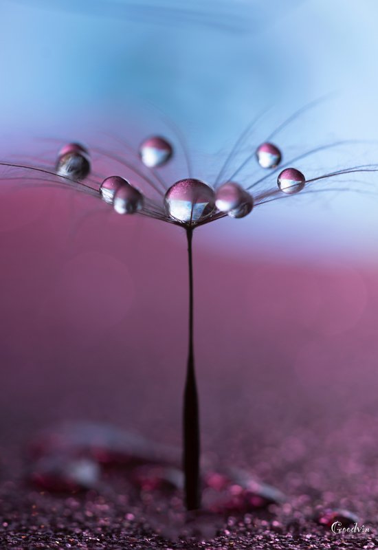 Балеринкаphoto preview