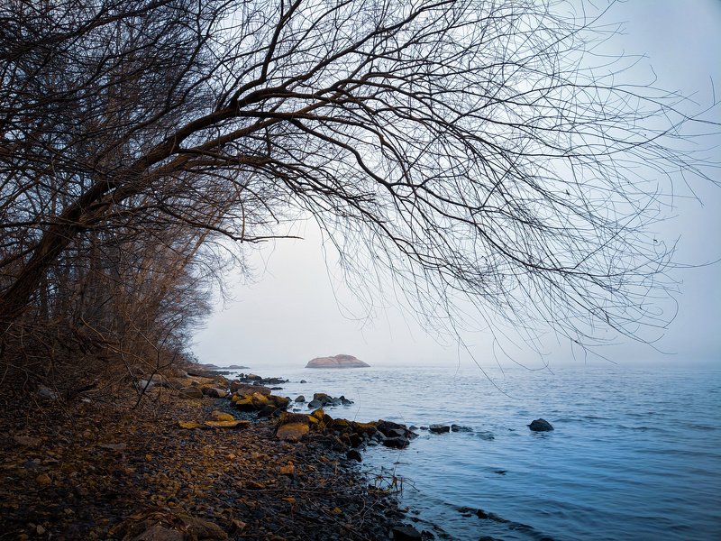 пейзаж,река,берег,хортица,landscapes,зима,релакс,тишина, Январский этюд 2020photo preview