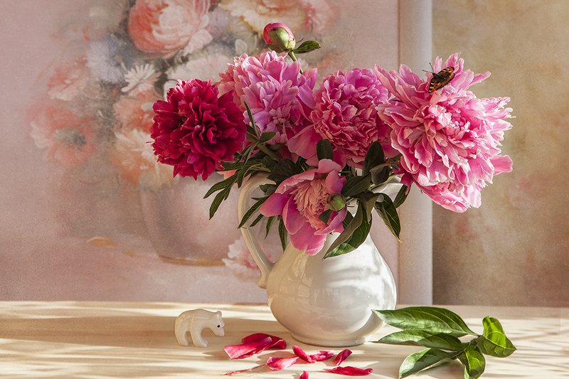 Пионыphoto preview