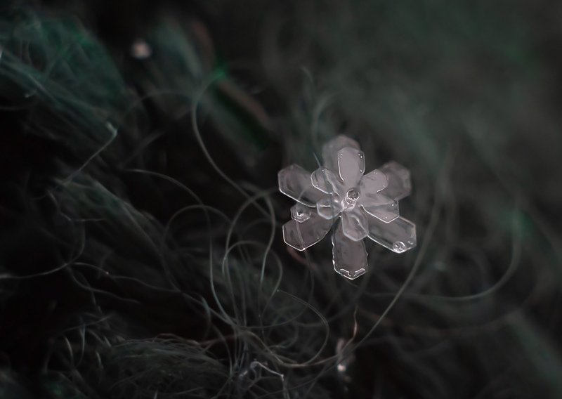 снежинки, макро, природа, зима photo preview