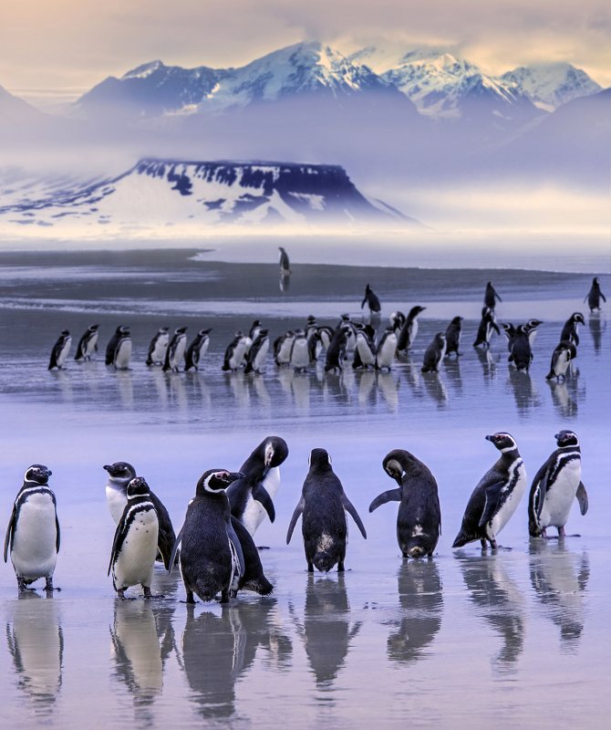 Бродягиphoto preview