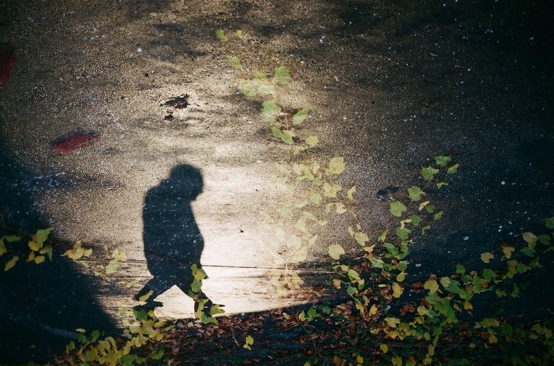 street Jurassic Townphoto preview