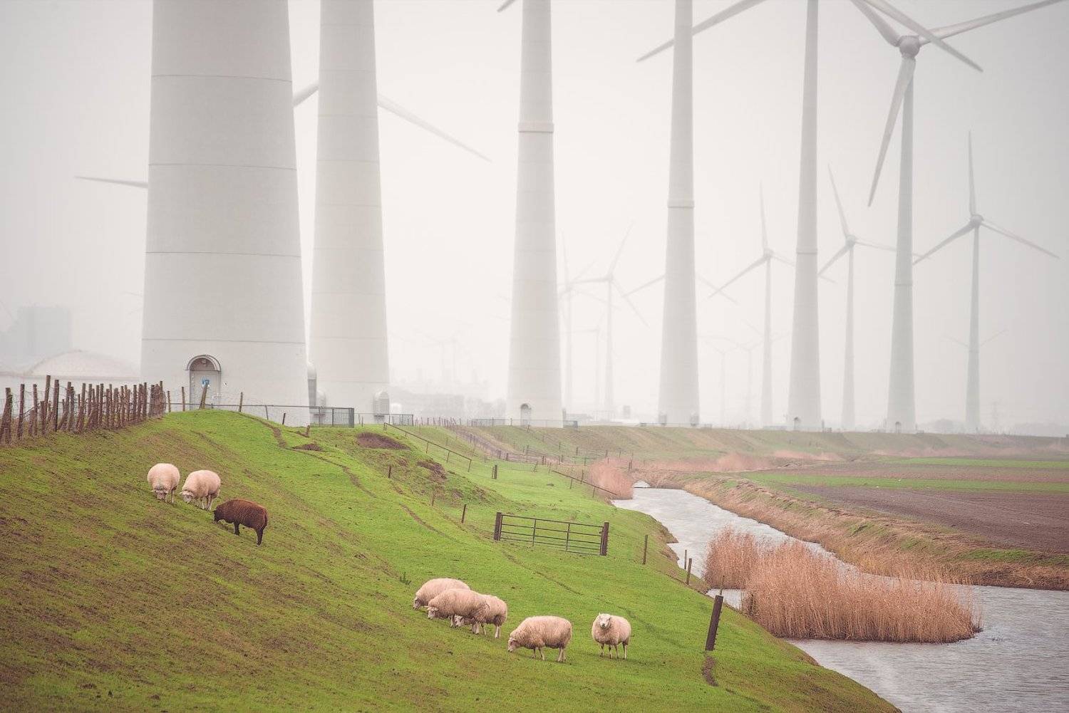 Урбанизм. Автор: Дмитрий пейзаж, нидерланды, Дмитрий