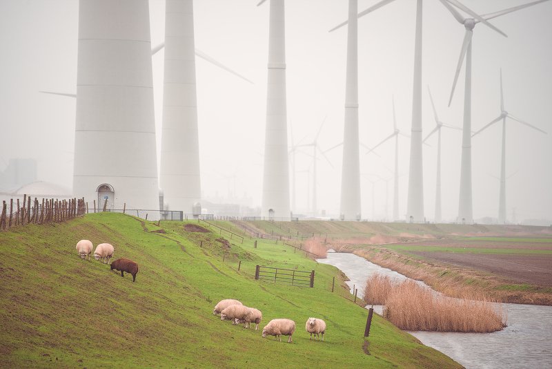пейзаж, нидерланды Урбанизмphoto preview