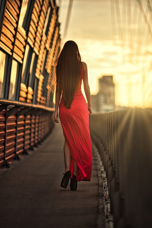 По направлению к солнцу вдоль кукурузыphoto preview