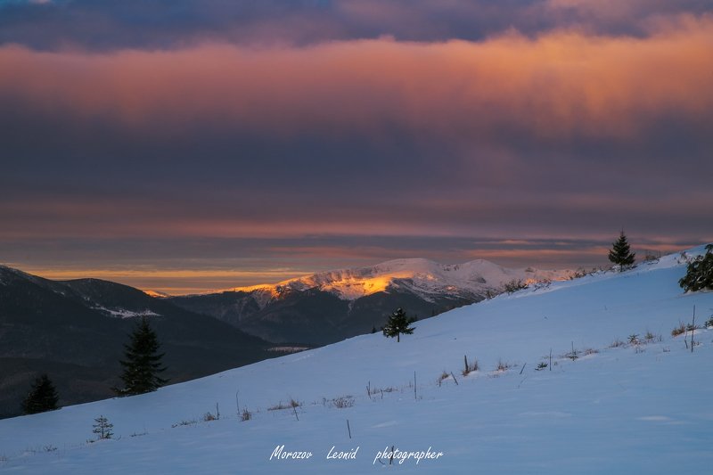 #nature, #туман, #лес, #oсень, #украина, #карпаты, #пейзаж, #закат, #туман, #солнце, #свет, #mountain range, #mountains, #туризм, #лес, #nature, #природа,  фото превью