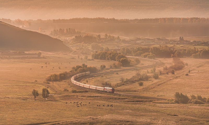 поезд, утро, рассвет, поле, железная дорога, лето, горы, дымка, кандры, skrylov, skrylov_official ***photo preview