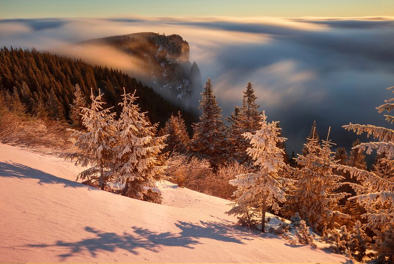 winter, trees, blizzard, snow, landscape, travel, nature, mountain, romania, cold, sunrise Golden Timesphoto preview