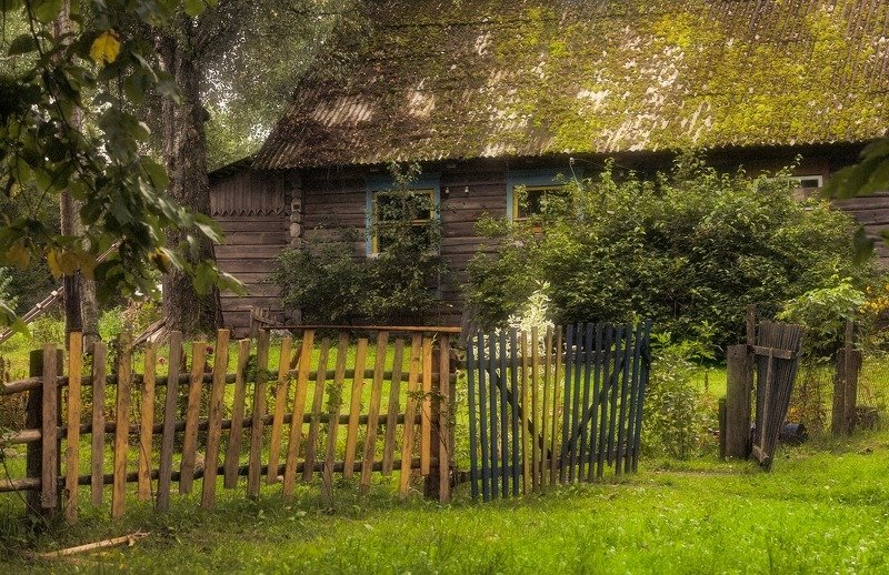 усадьба деревня лето романтика  Белорусская глубинка фото превью