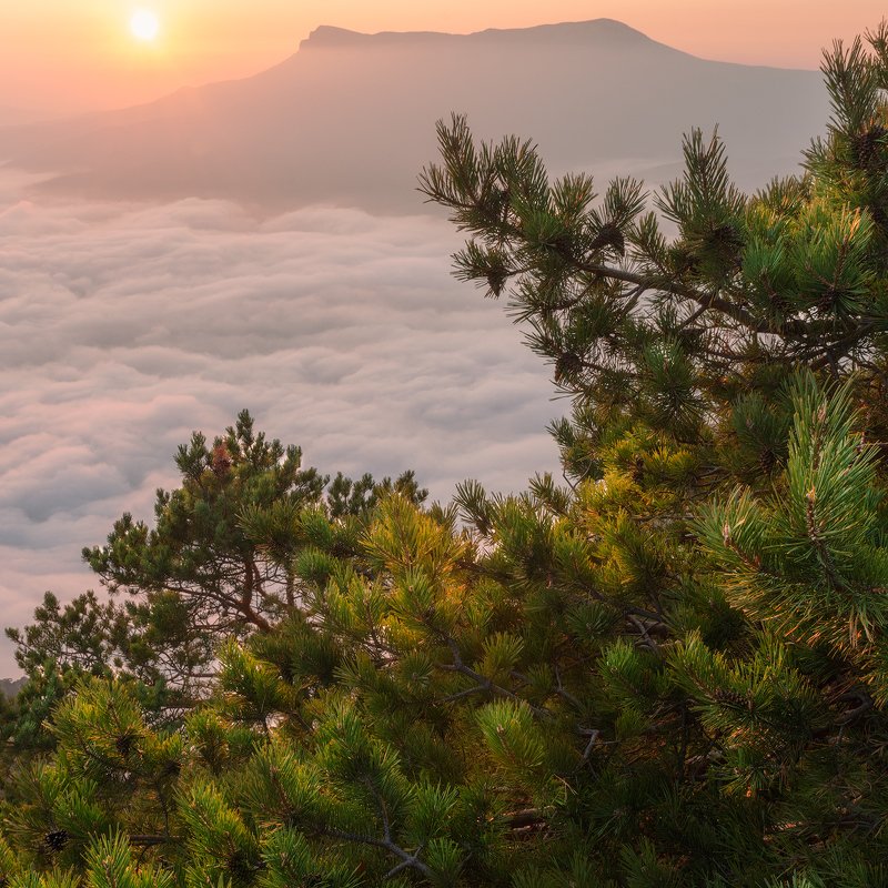 Золотой светphoto preview