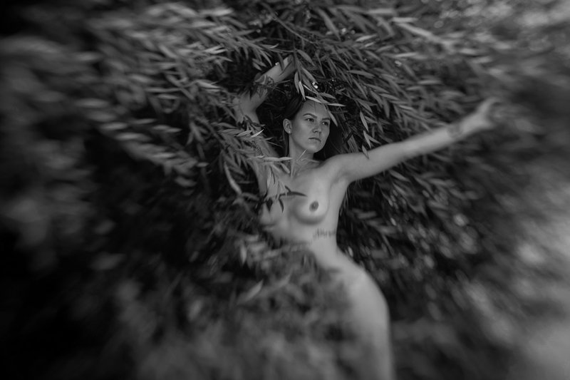 BW lensbaby фото превью