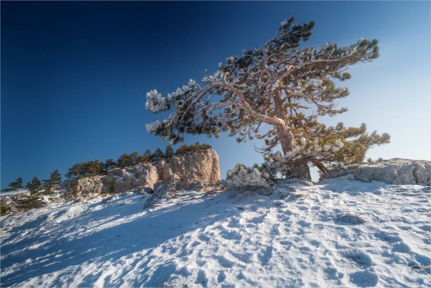 Автор: Михаил Гапонов , Михаил Гапонов