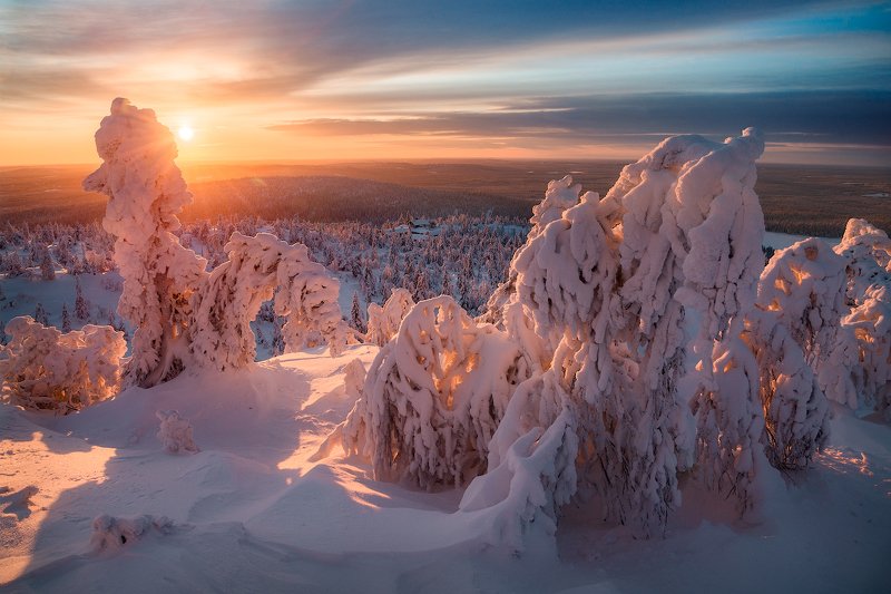 солнце, снег, небо, деревья, сопки, север Предчувствие весныphoto preview
