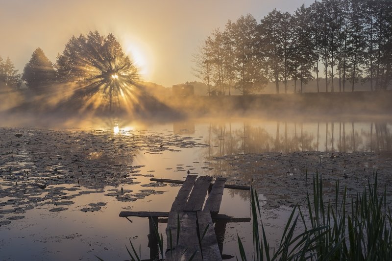 пейзаж,природа,фотография,красота,сергейкорнев Жгучая яркостьphoto preview