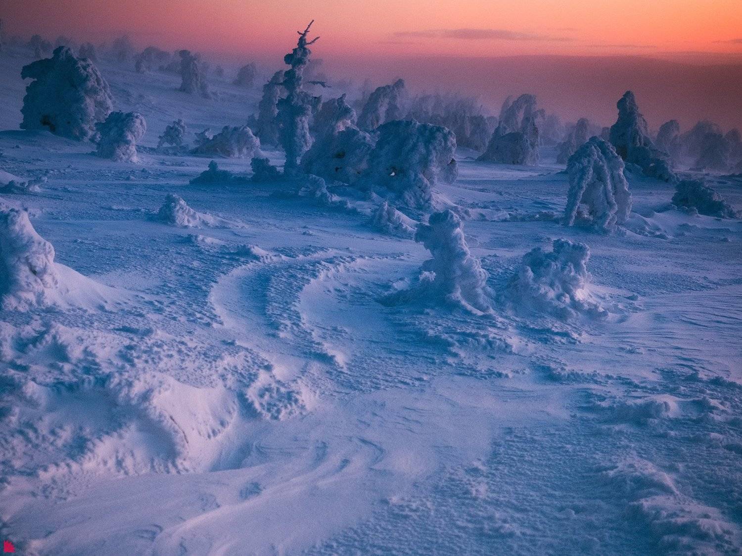 , Осипов Ёжъ Александр