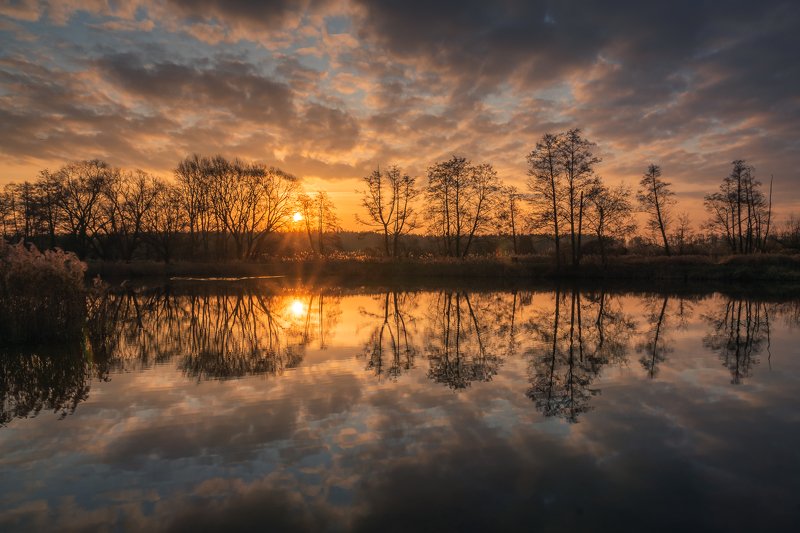 sun, sunrise, refleciotn, water, lake, pond, tree, clouds, morning Reflectionphoto preview