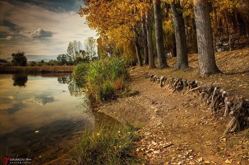 lake, bulgaria, lesichevo, forest, autumn, landscape, nature, cloud, vacation, tourism, nsirakov Магия утраphoto preview
