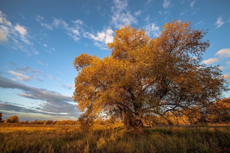 Прощаясь с осенью.photo preview