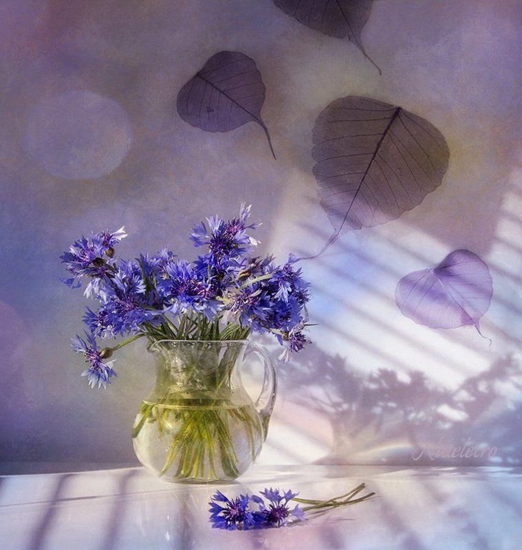 Васильковый листопадphoto preview