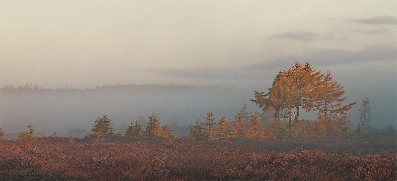 туман, утро \