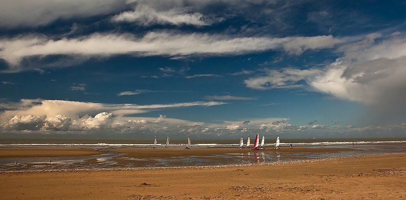 Сухопутная регата.photo preview