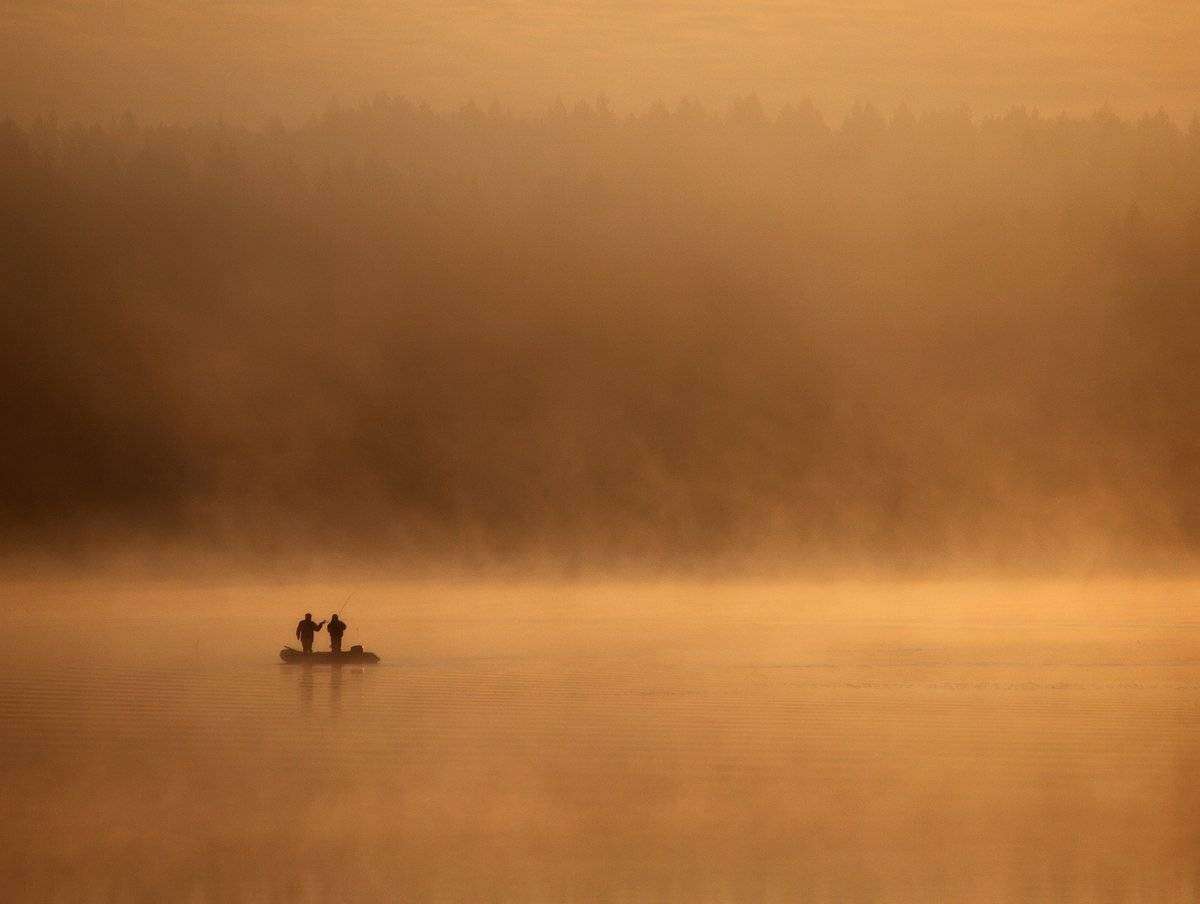 ***. Автор: Владимир Перепечаев , Владимир Перепечаев