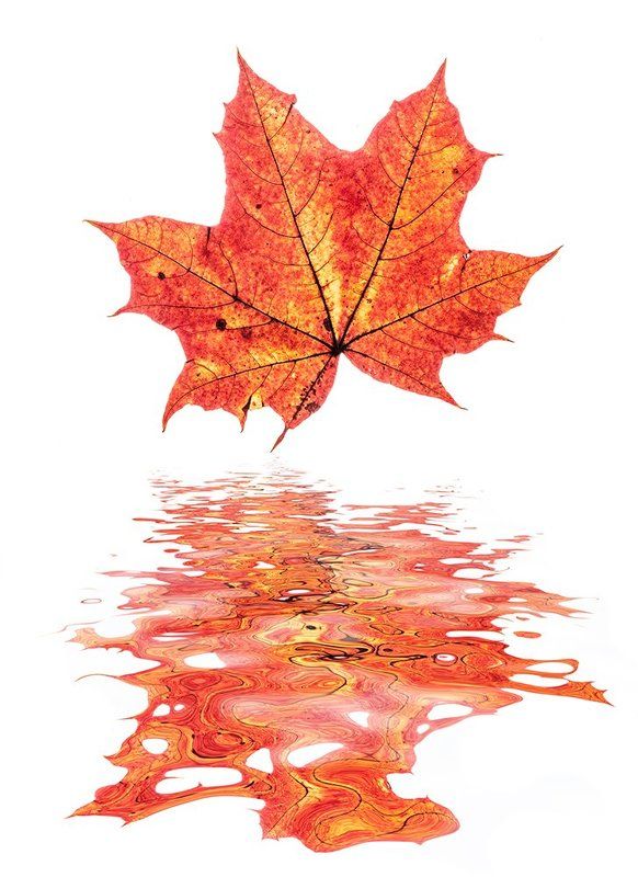 Осенние пляскиphoto preview