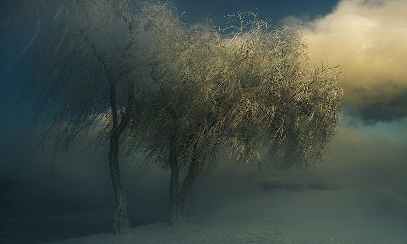 Морозное утроphoto preview