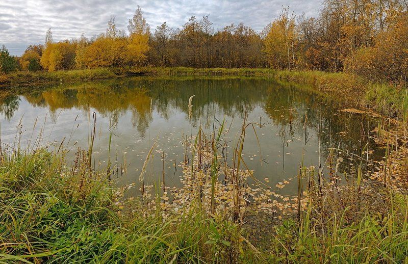 Ходит осень.photo preview